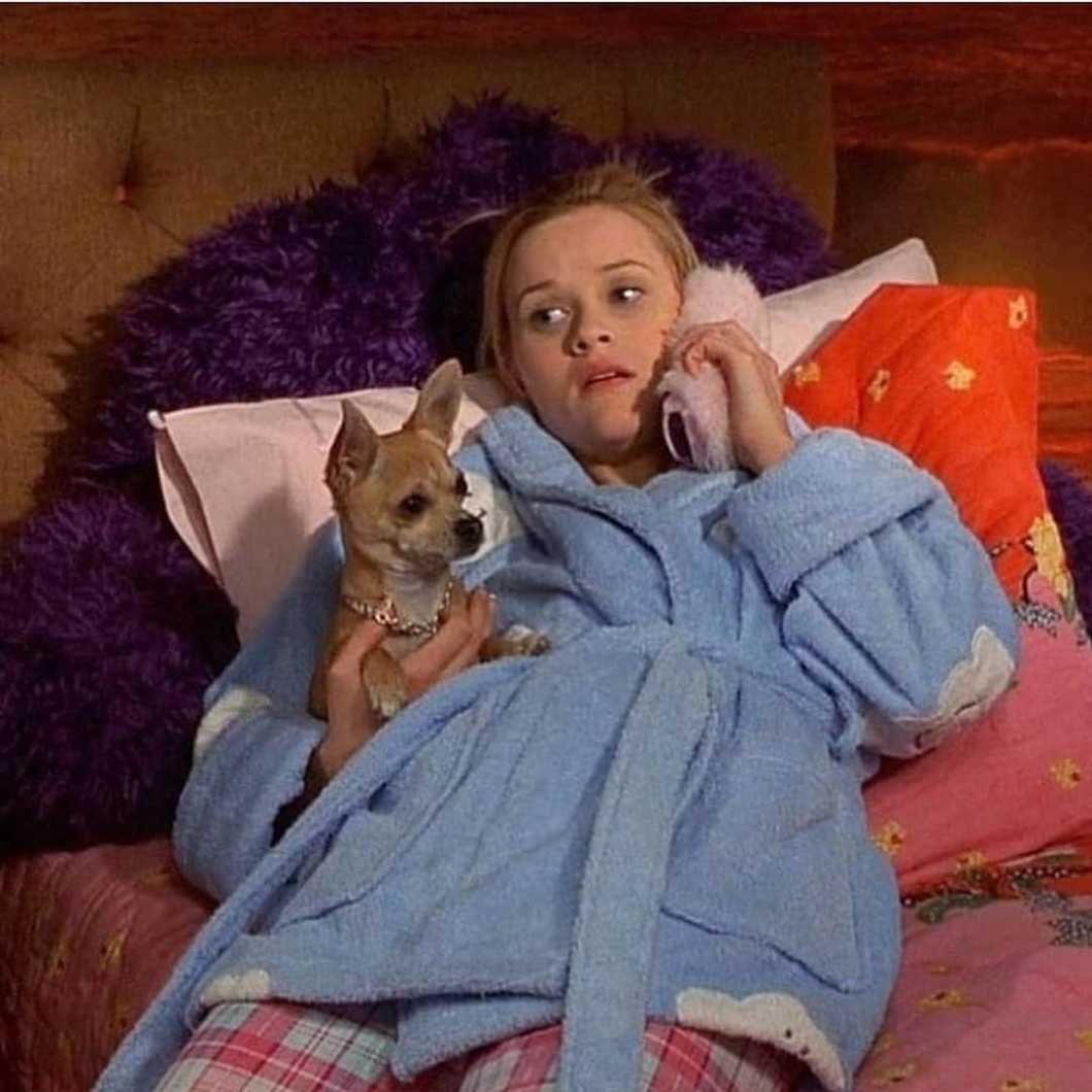 The Rush Of Prepping For Sorority Recruitment, As Told By Elle Woods