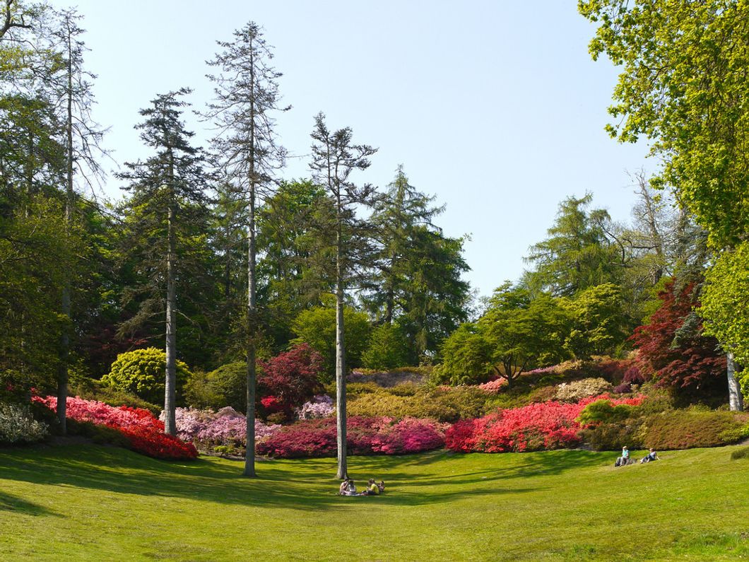 13 Reasons Why You Need To Visit Virginia