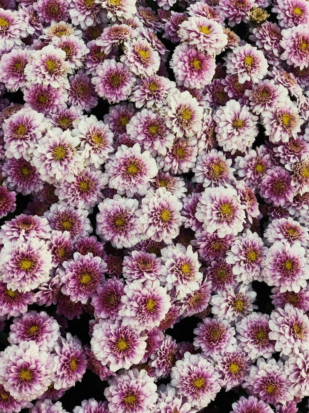 To The Stressed Out College Student, God Is Here For You, Always