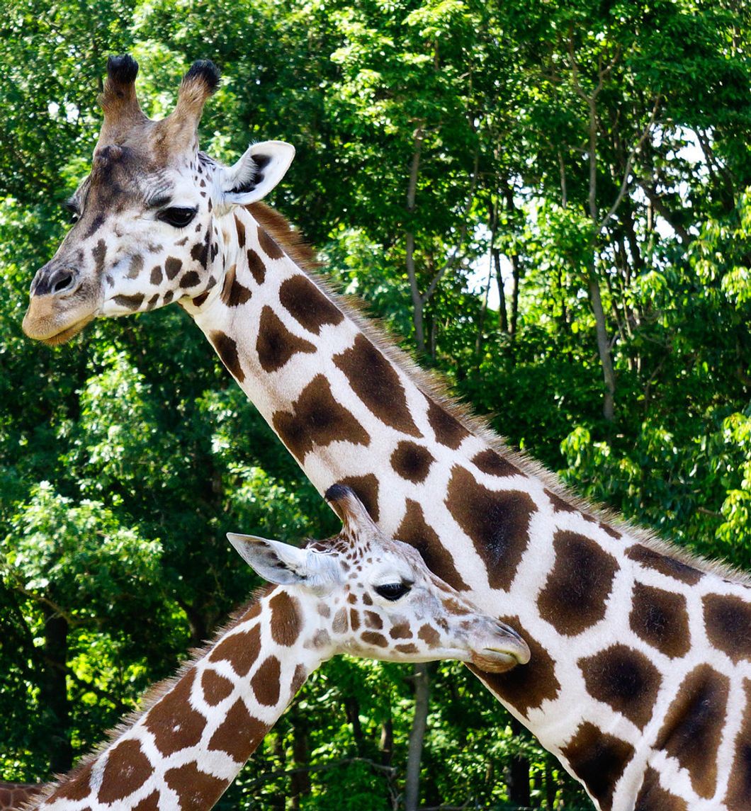 Letters to Strangers