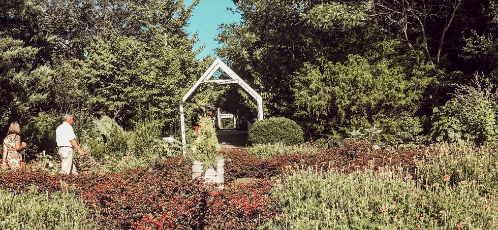 The Green House Effect