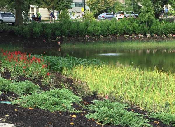 20 Things To Look Forward To At Ohio State