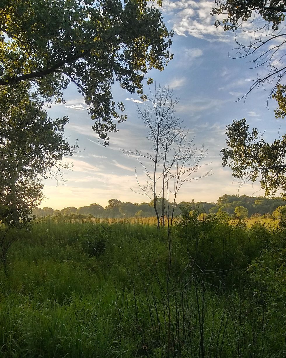 A Journey Of Introspection