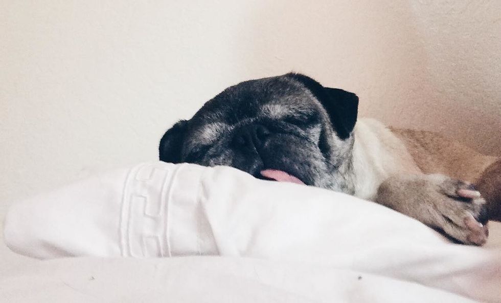 I Skip Class To Sleep And That's Okay