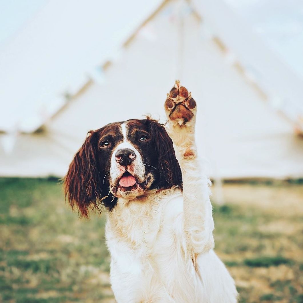 Poetry On Odyssey: "Some People Just Need A High-Five"