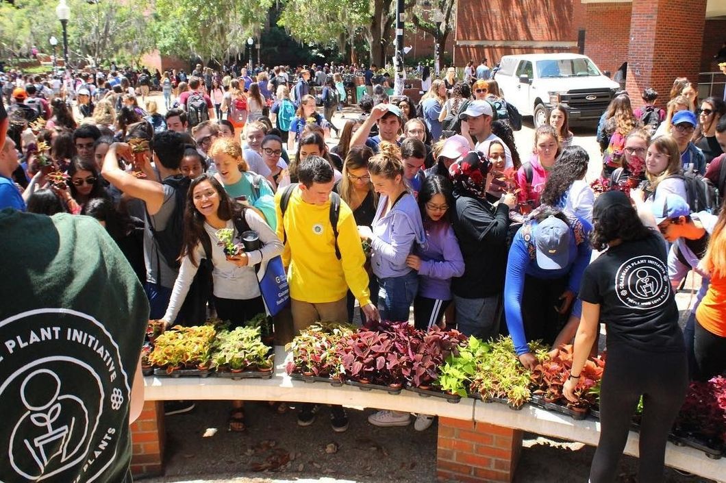 5 Foolproof Approaches To Make it Through Turlington Alive