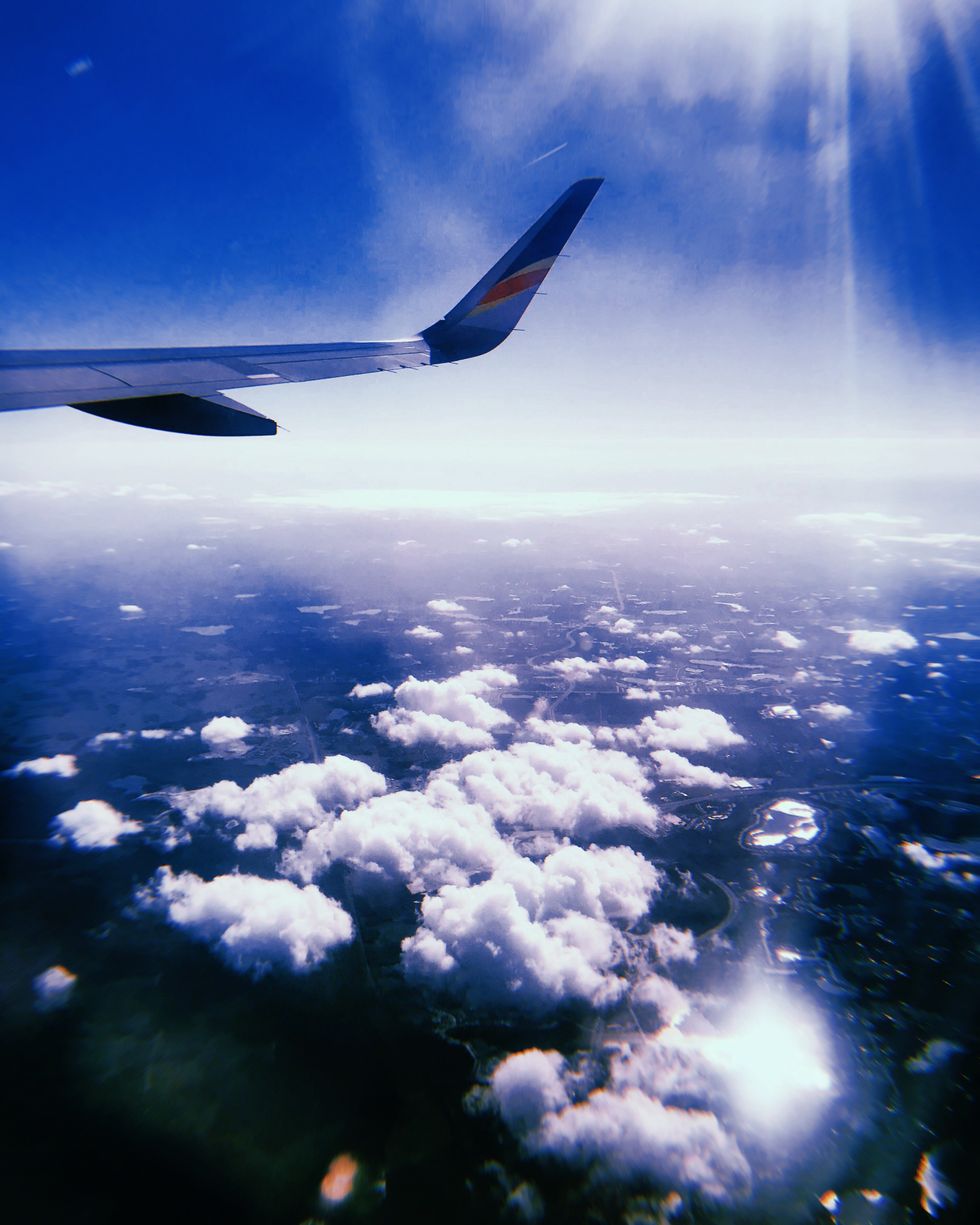 Trusting the Journey