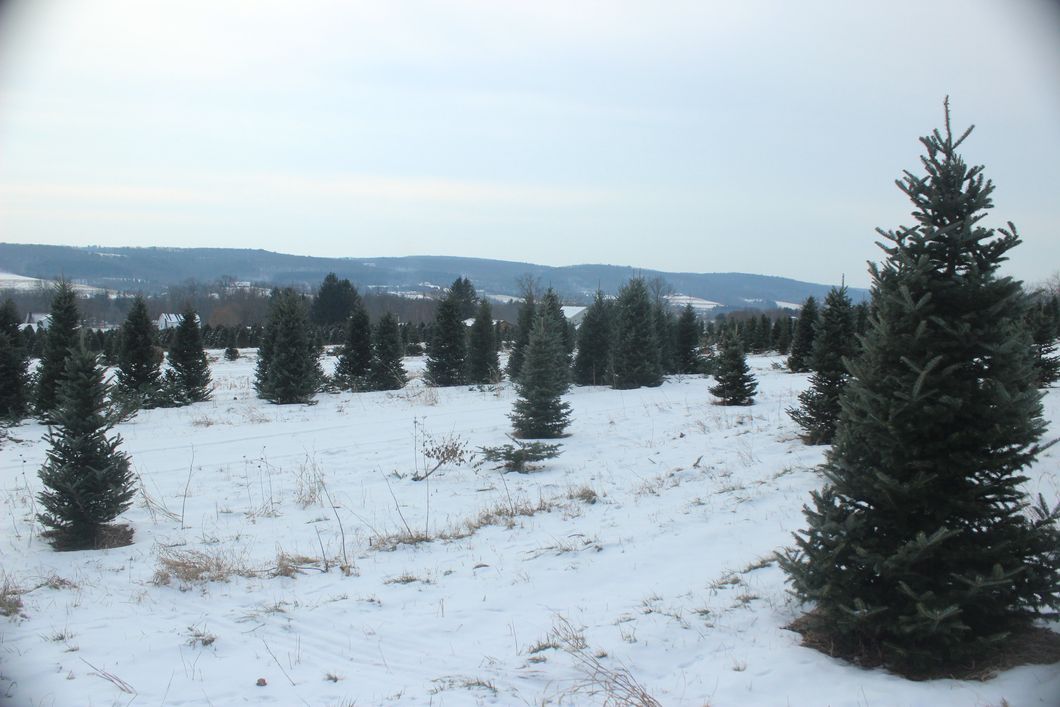 10 Snowy Movies Perfect For Escaping The Summer Heatwave