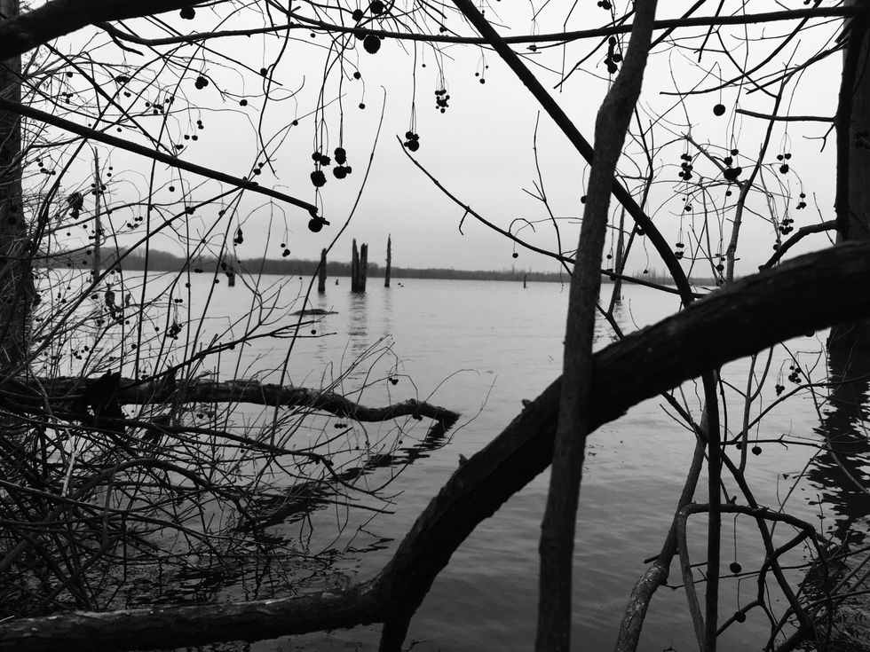 The Shape Of Darkness