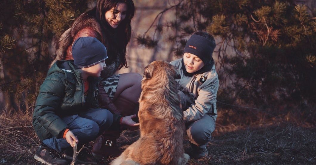 If You're Obsessed With Dogs, Grab The Tissues And Curl Up With These 5 Movies