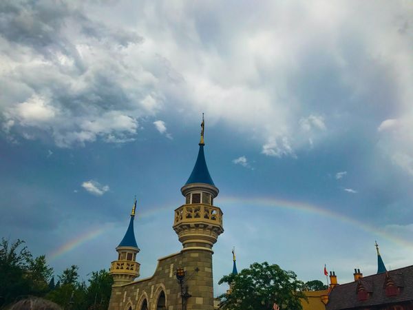 What Disney Movies Taught Me