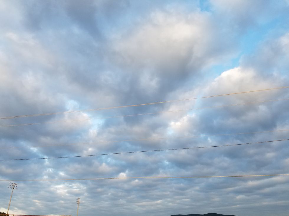 Sweet Nectar: Nature's Tranquility