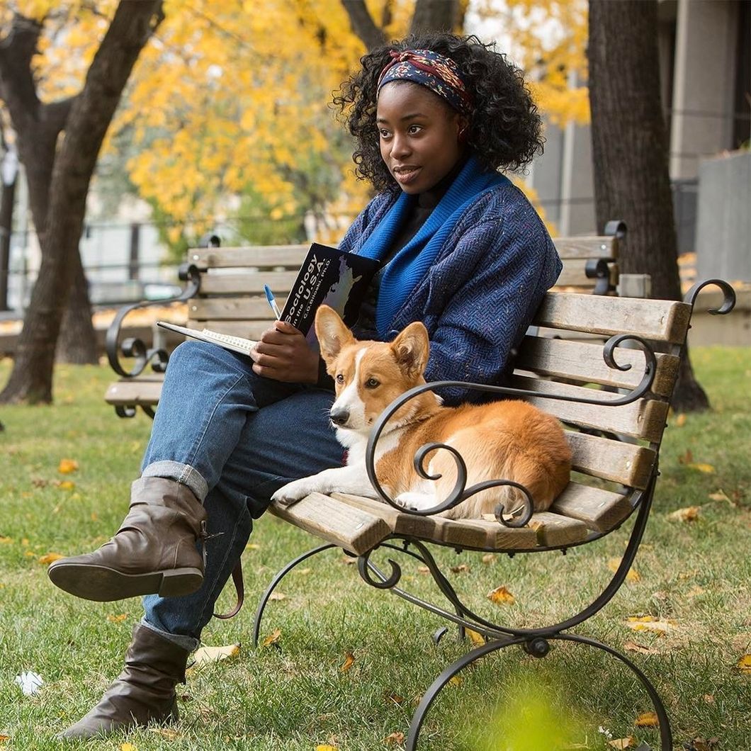 To My Fellow Dog Lovers, 'A Dog's Purpose' Is A Must Watch