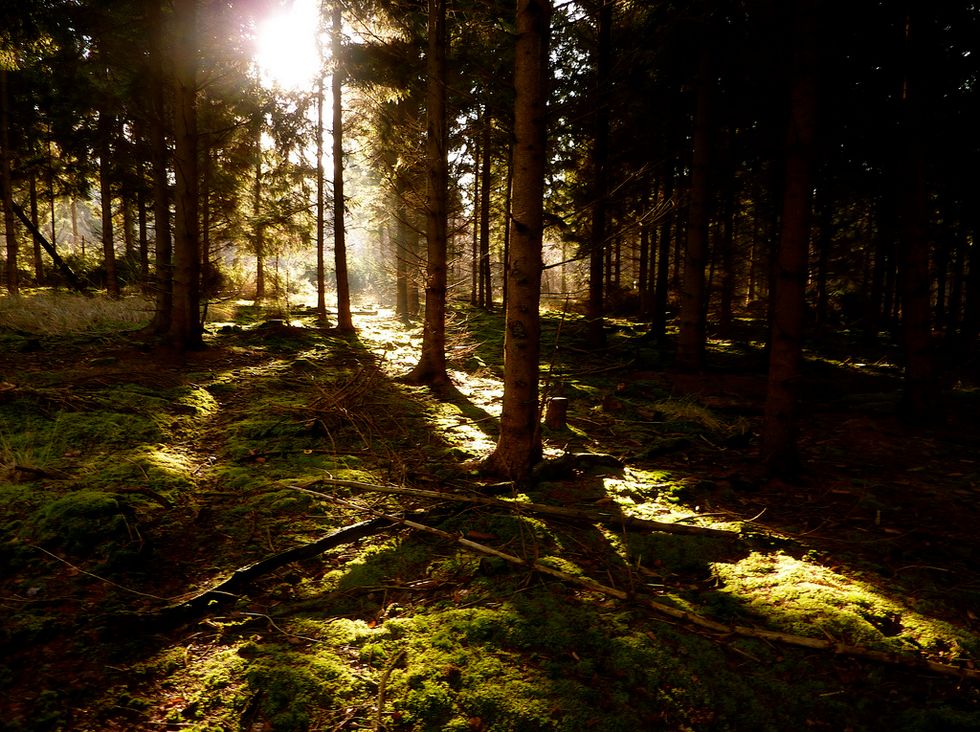 My Parents Don't Understand My Mental Illness