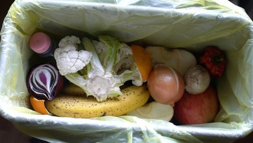 Wasted Food Is A Modern Tragedy Especially When People Are Struggling To Put Food On The Table