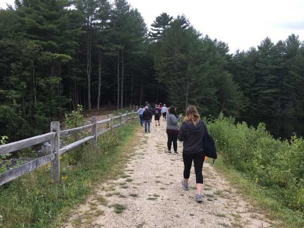 Team Building Teaches More Than The Expected