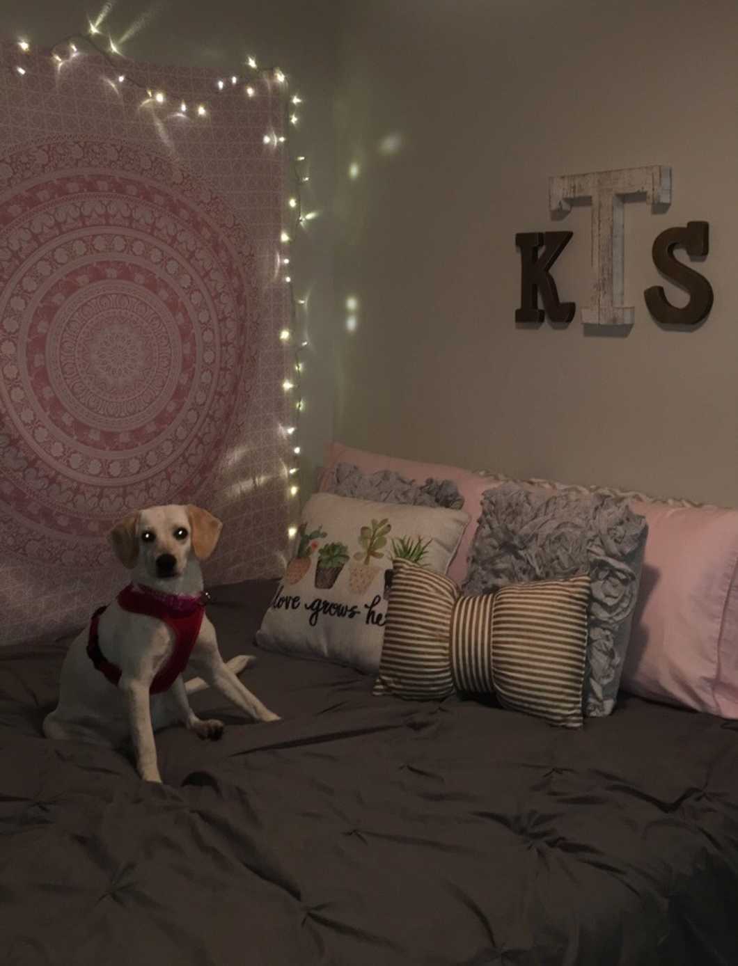 5 Things New Roommates Experience During The First Few Weeks Of School