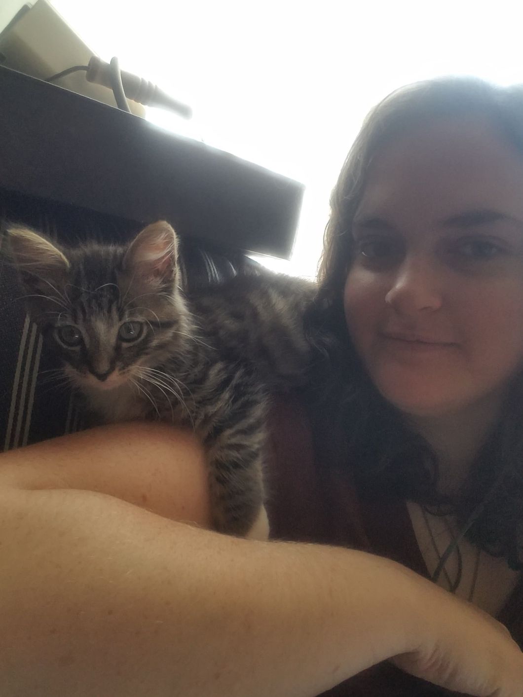 7 Reasons Cats Are Our Best Friends