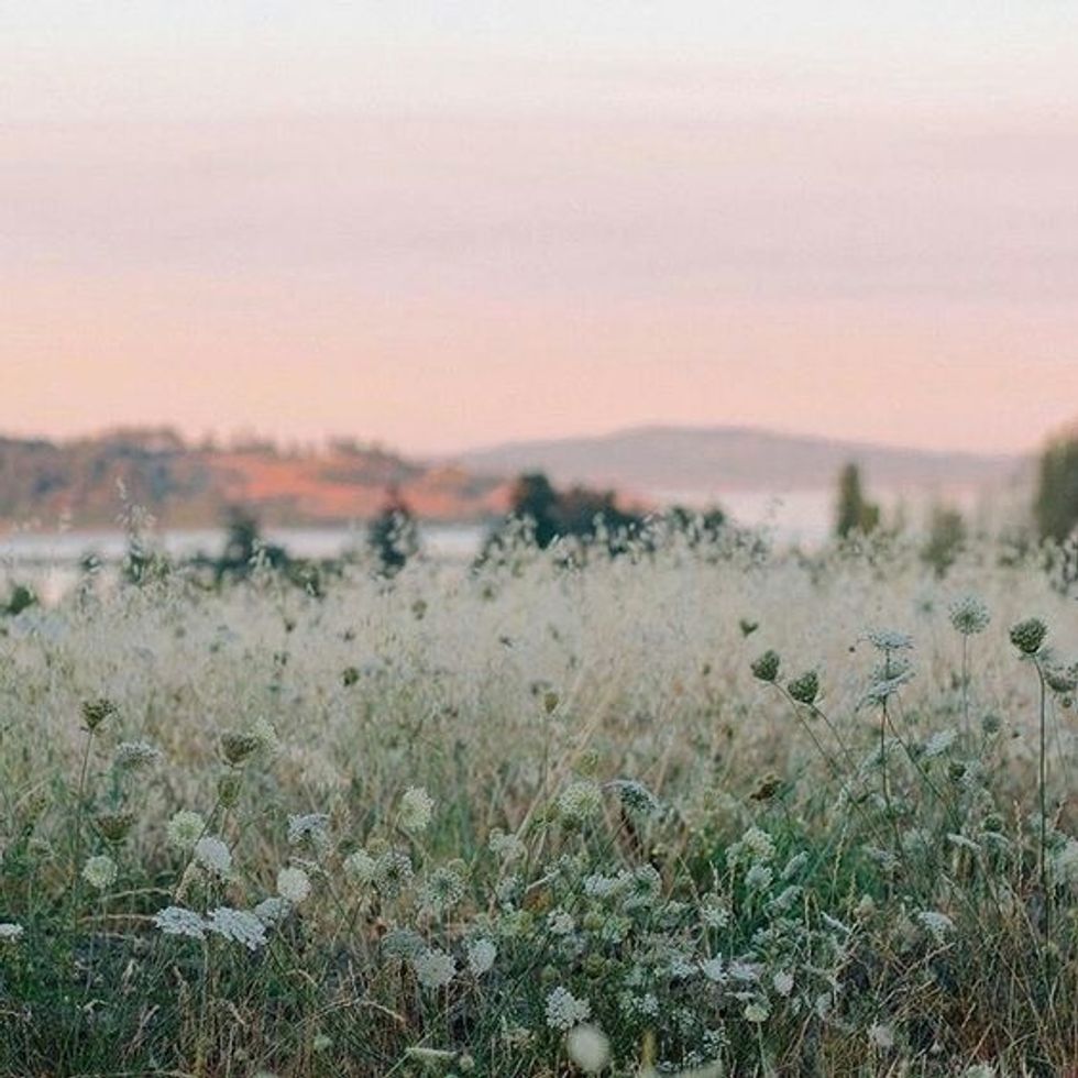 Uncertainty Turned Into Growth