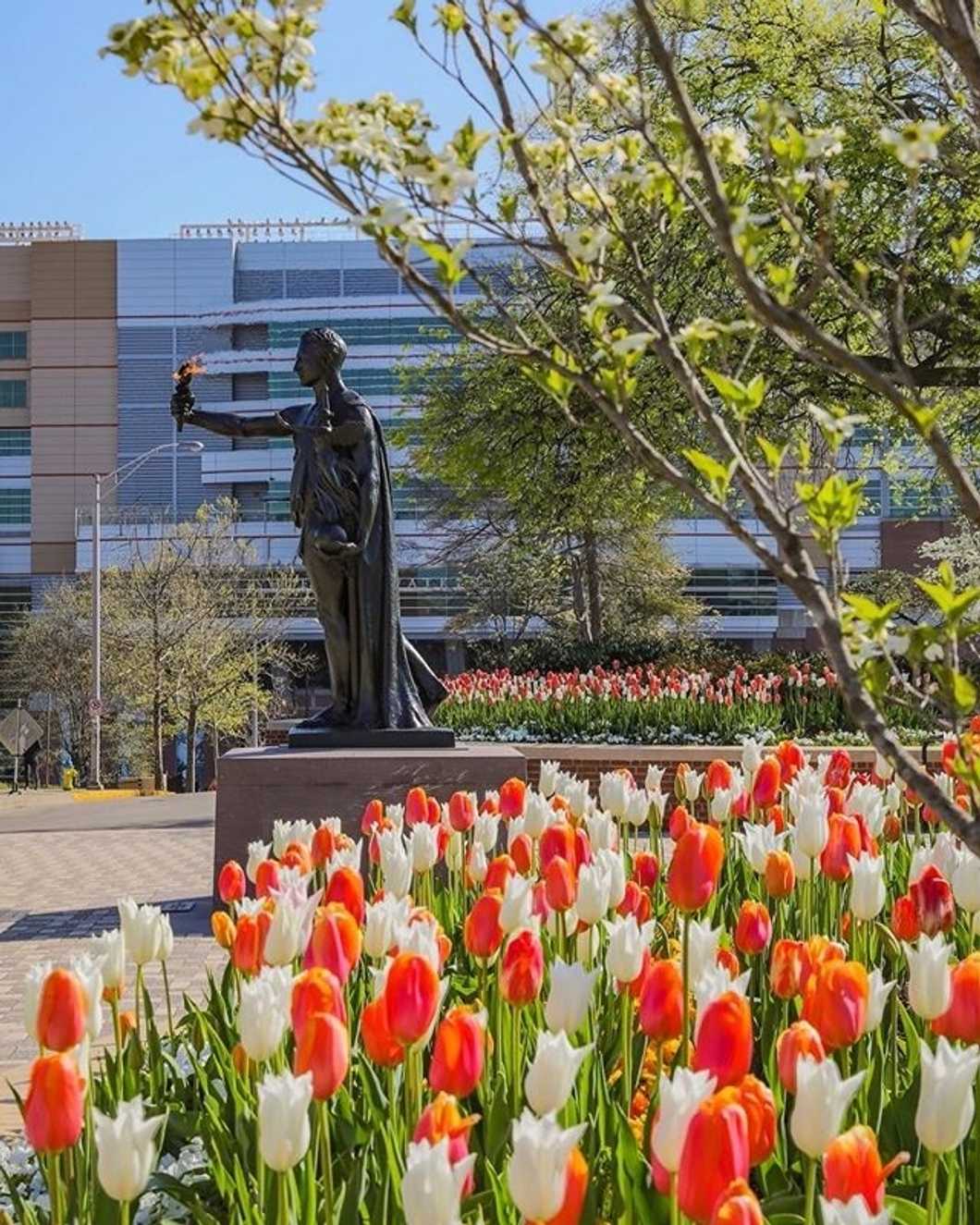 Bear The Torch: 3 Small Ways To Be A Big Help To Your Fellow Vols