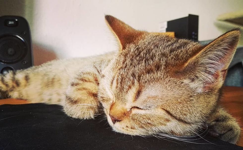 The Simple Solution To Your Sleeping Problems, You're Welcome