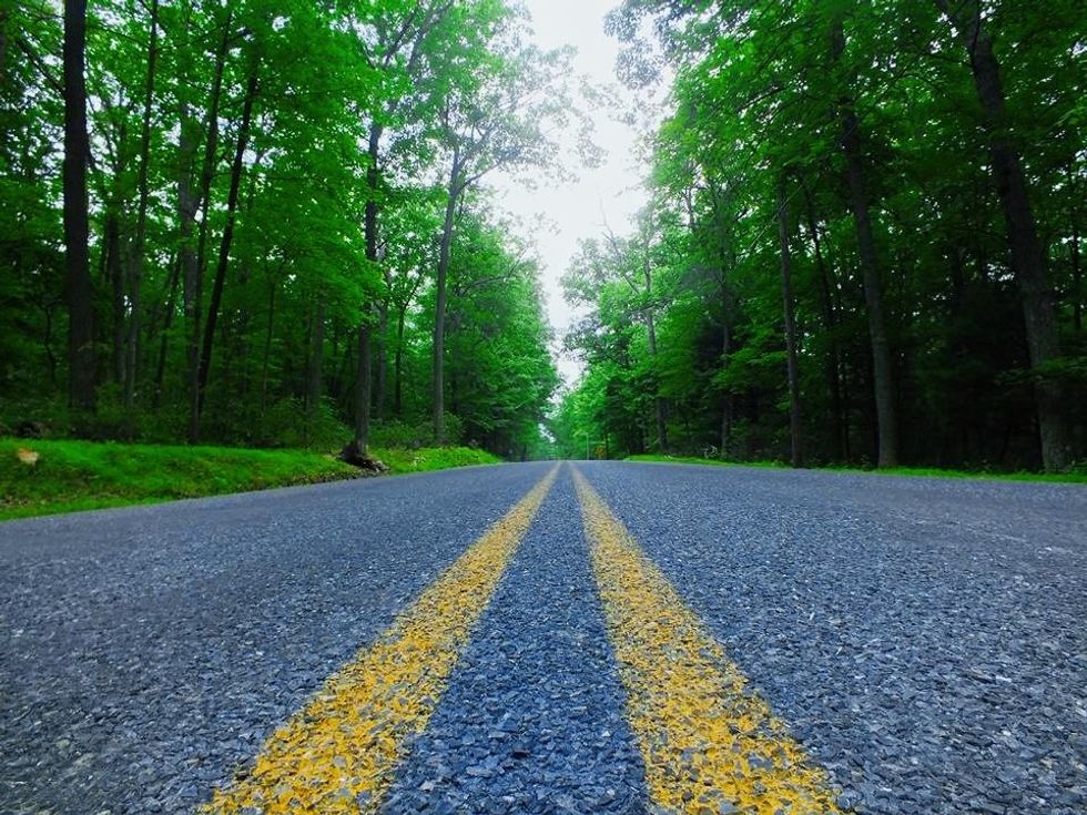 The Foreign Exchange Club Changed My Life For The Better