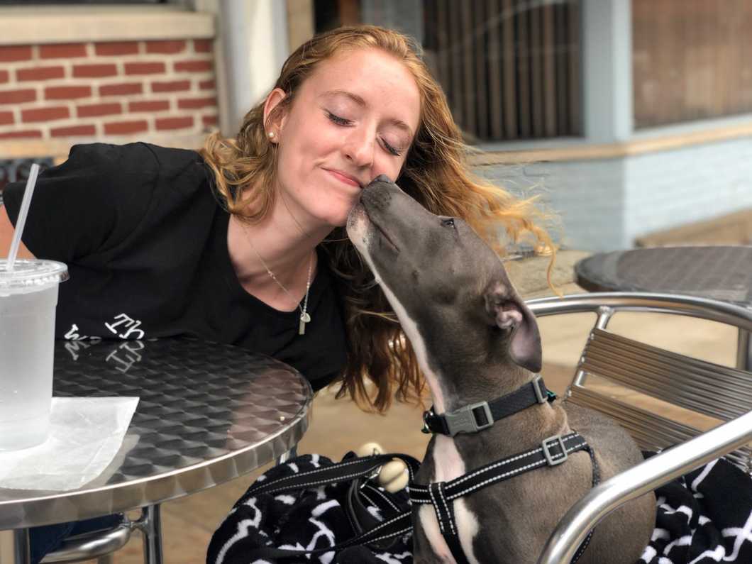 To Our New Four-Legged Family Member