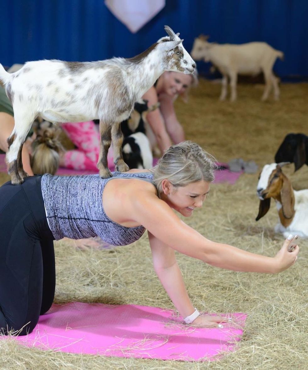 I Finally Tried Yoga...But With Goats!