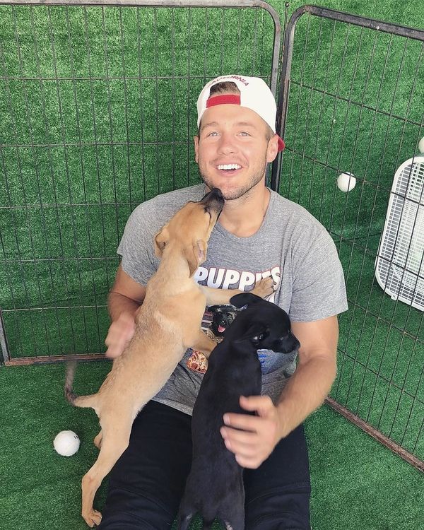 Dear ABC, I Don't Know How I Feel About Colton As The Bachelor