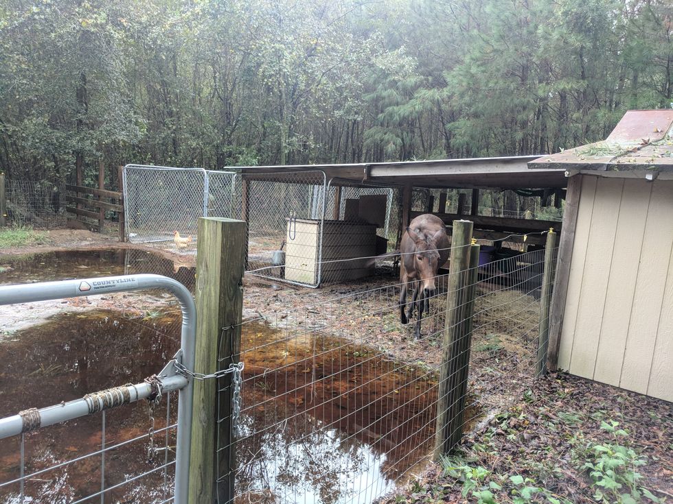 What Happens After A Hurricane Hits Your Hometown