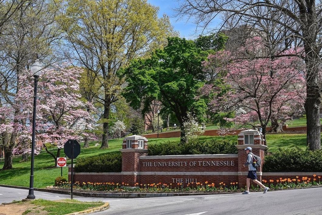 My Parents Were Hesitant When I Chose The University Of Tennessee Instead Of An HBCU, But I Belong Here