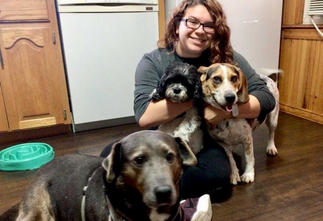 To My Fur Babies, Mom's Sorry She's Not Around More