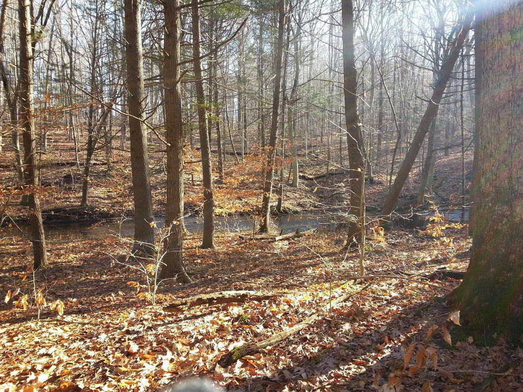 15 Beautiful Natural Things To Be Appreciative Of