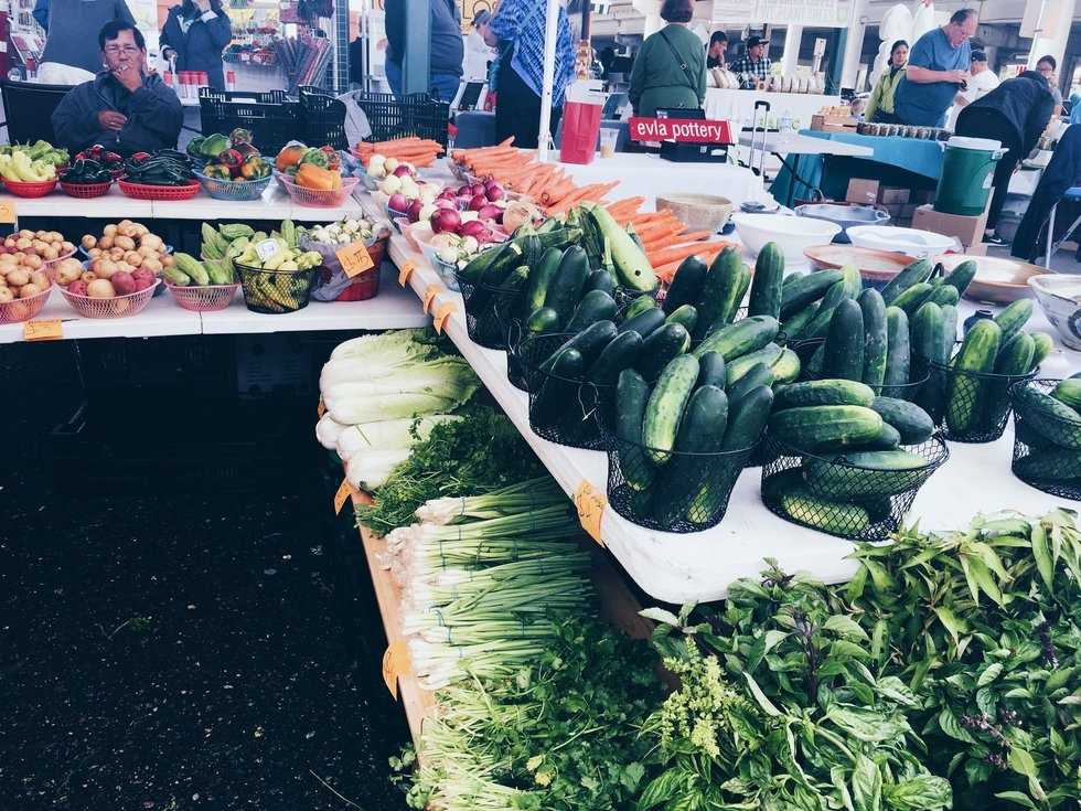 Why I Went Vegan (and Why I Stay Vegan).