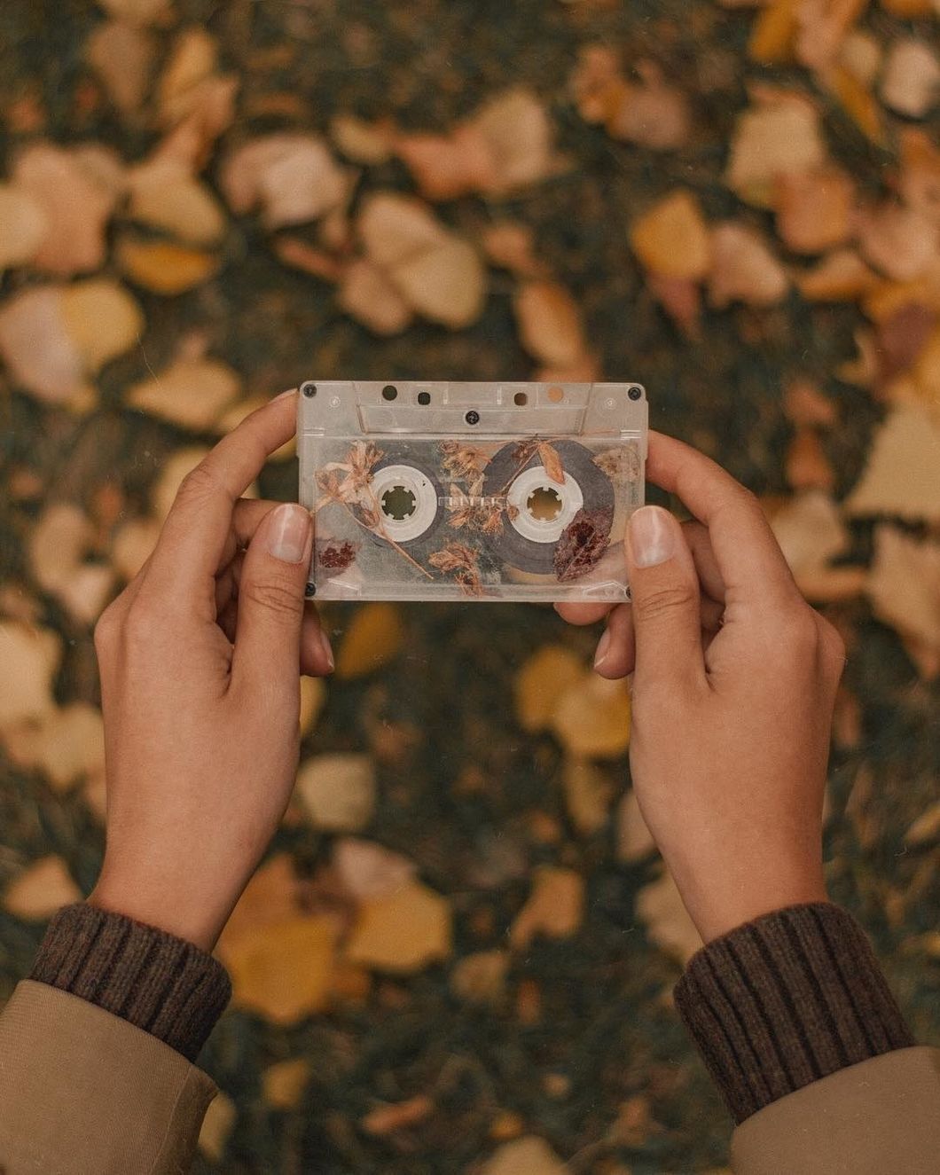 25 Songs To Add To Your Fall Playlist