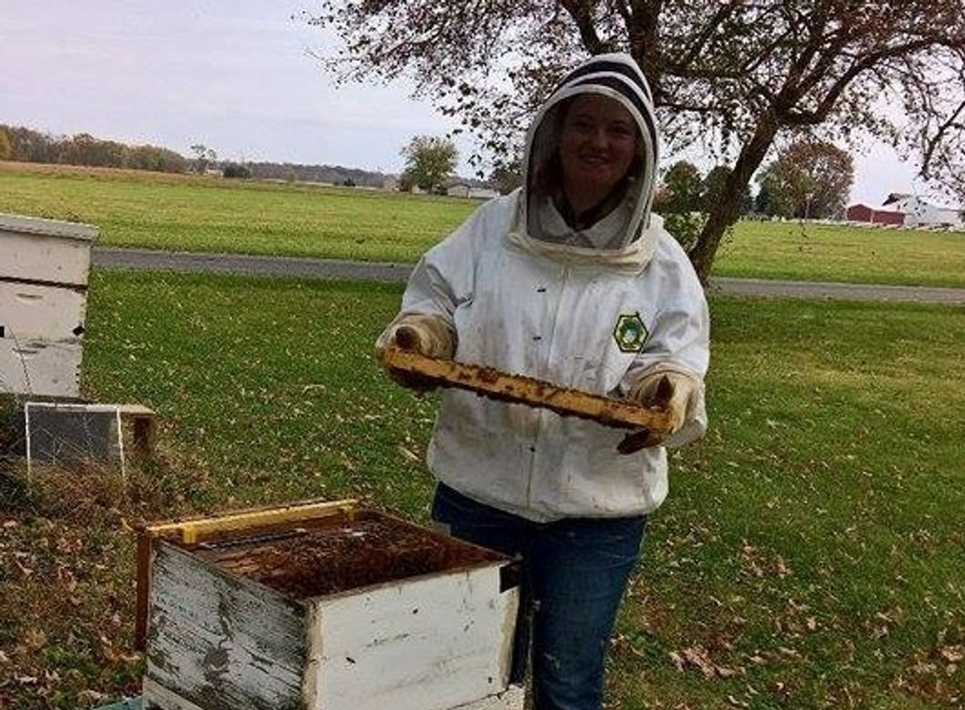 Adventures of an Amateur Beekeeper