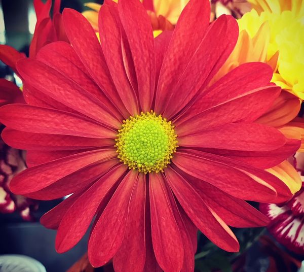 For Those Of You Who Have Stuck Beside Me Through My Anxiety, Thank You