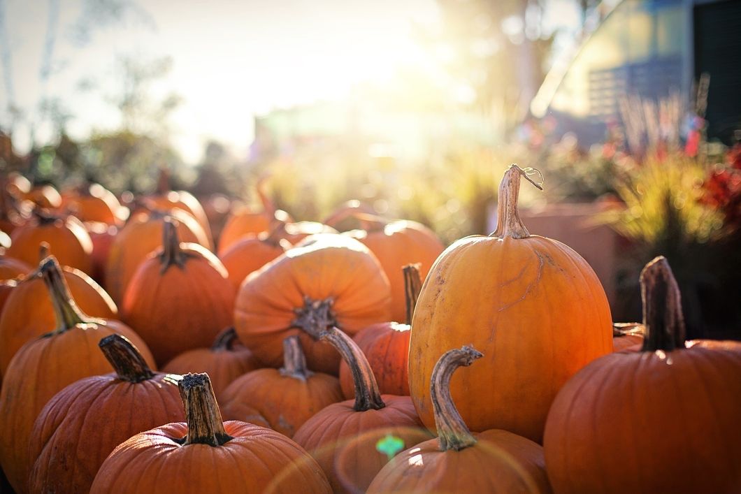 17 Reasons October Is My Favorite Month