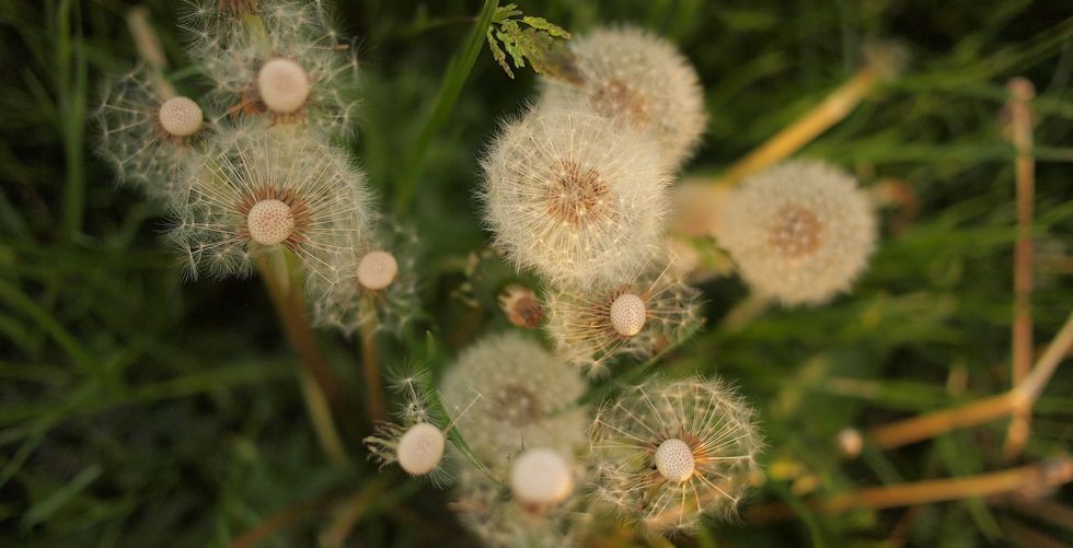 A Poem For An Old Friend Gone Too Soon