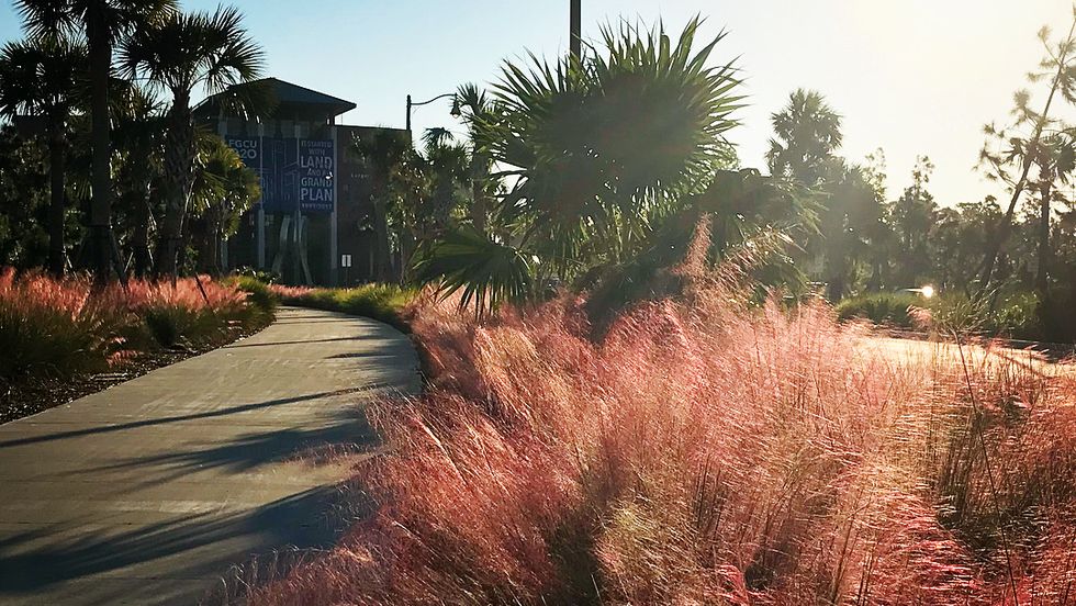 How To Celebrate Fall When You Live In The Humidity Of South Florida