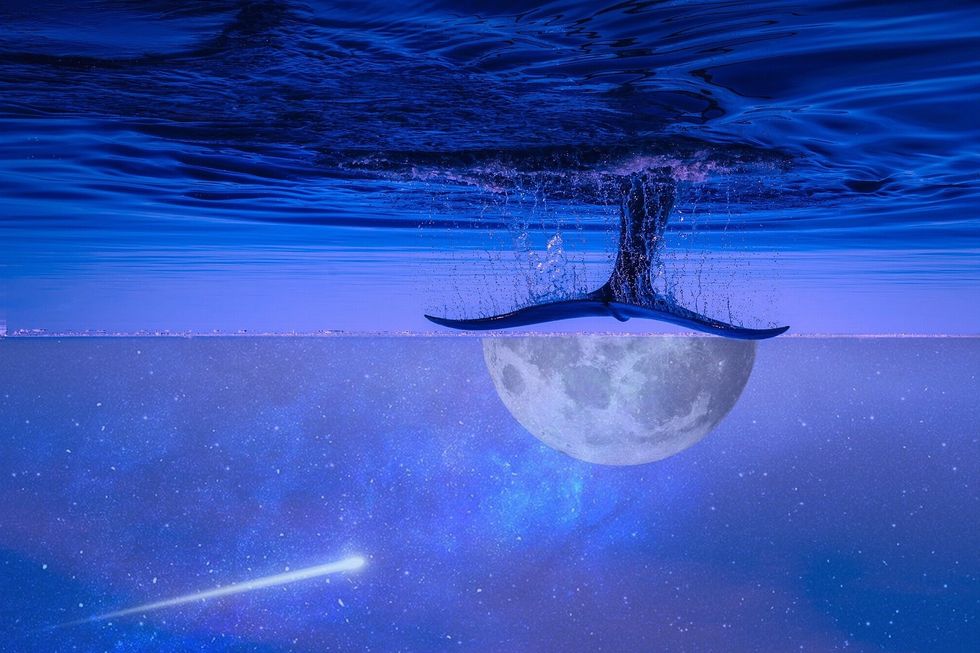 Fiction On Odyssey: Depths Of The Sky, Part II