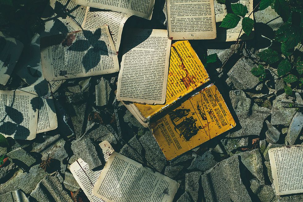 The 5 Stages Of Writing A Poetry Explication When You Are Not a Poet