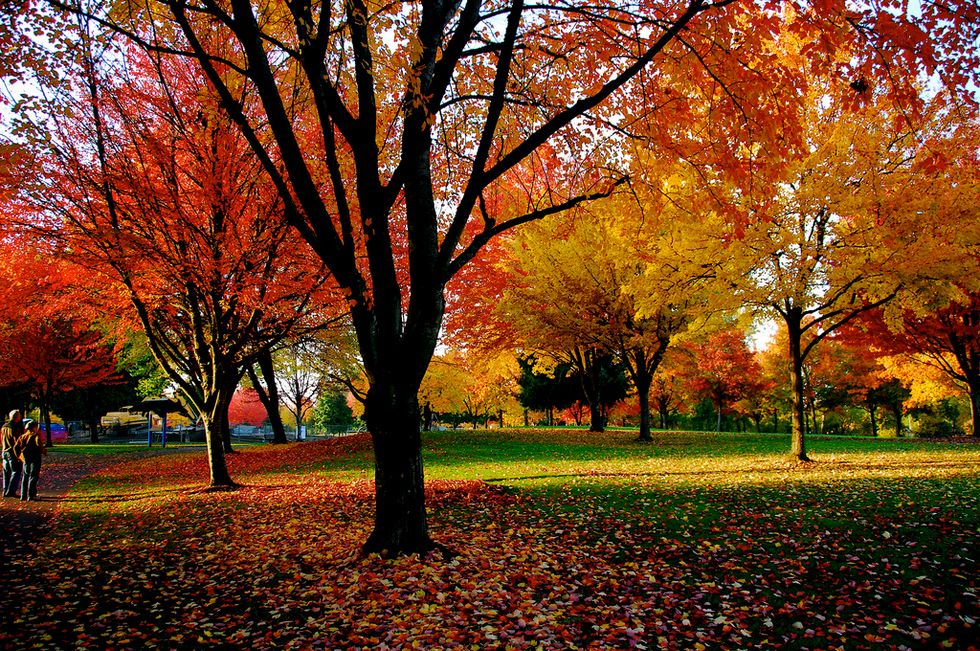 The Best Part Of Fall Is Everything