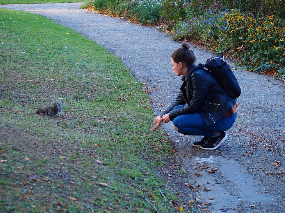 A Letter Of Appreciation For The Squirrels On The University Of Arkansas Campus