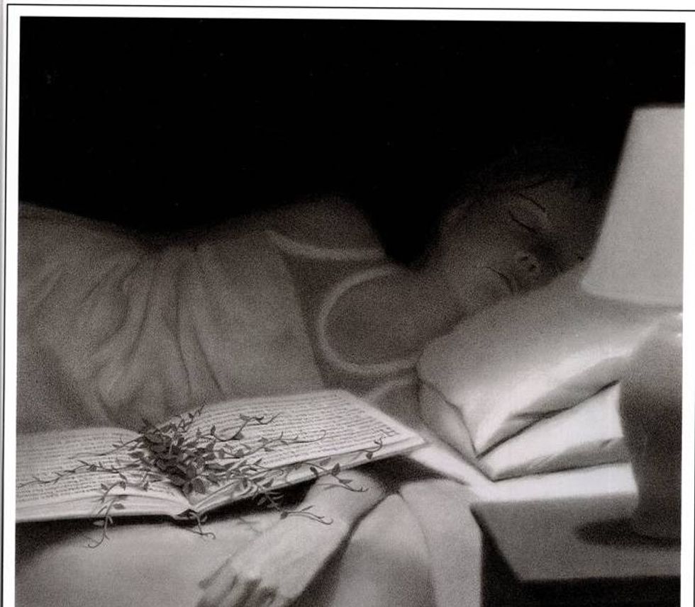 Fiction On The Odyssey: Mr. Linden's Library