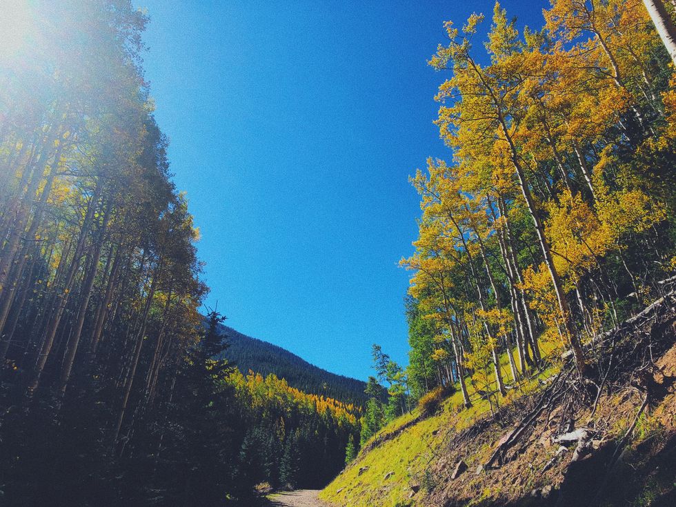 Despite What You May Have Heard, Arizona Does Have Autumn!