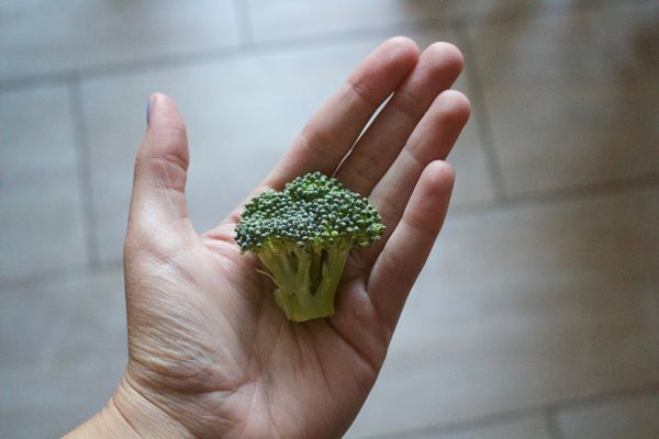 5 Simple Ways To Create Healthy Habits