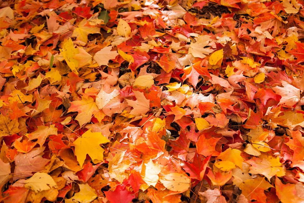 7 Reasons Why Fall is the Best Season