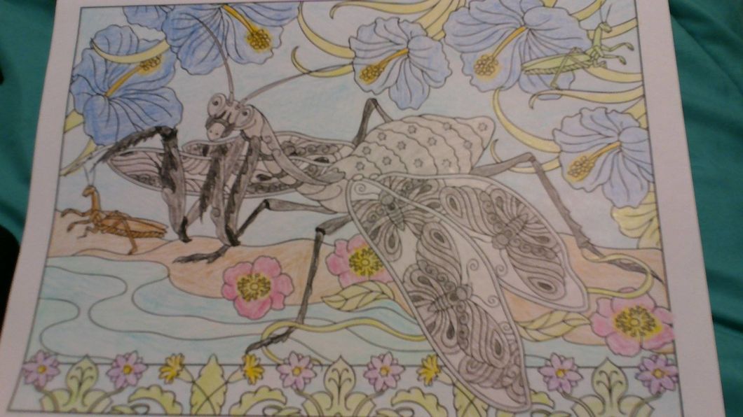 Adult Coloring Books Are The Literal Opposite Of Calming