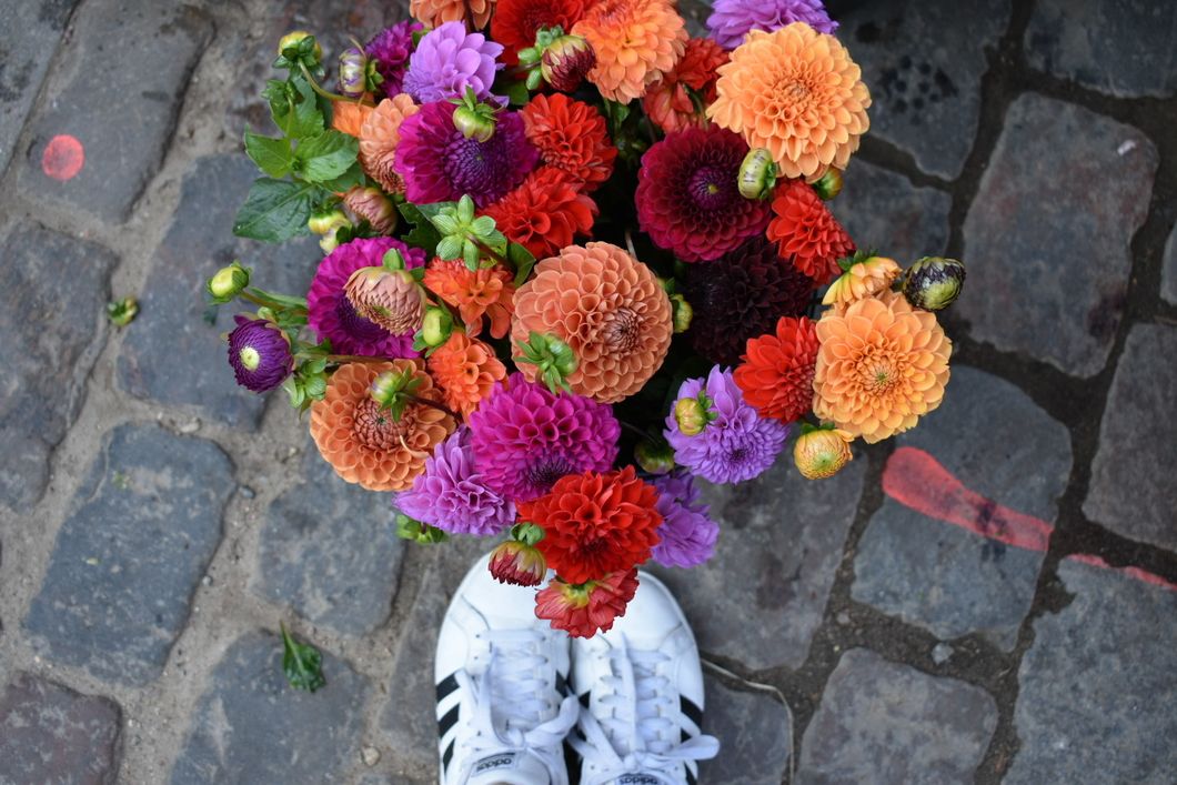 23 Reasons To Smile Today